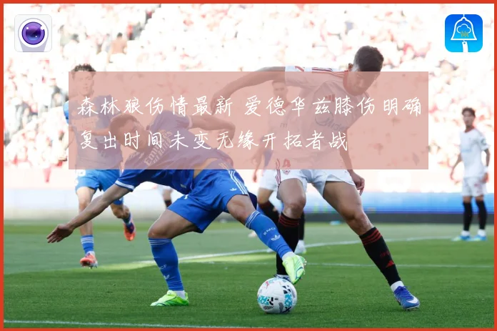 森林狼伤情最新 爱德华兹膝伤明确复出时间未变无缘开拓者战