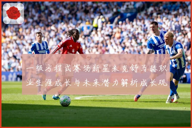 一级方程式赛场新星米克舒马赫职业生涯成长与未来潜力解析成长观察